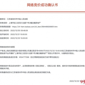 上海“活化石”地标德邻公寓拍卖成交，成交价5.05亿元 ...
