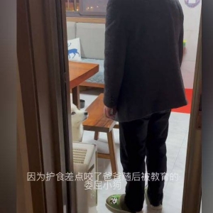 狗狗因护食险些咬了爸爸，被教诲后的心情惹人笑：戏也太多了吧？ ...