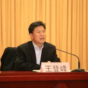 教育部体育卫生与艺术教育司原司长王登峰被逮捕，曾任足协副主席 ...