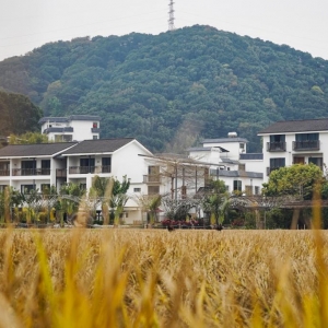 聚焦从化、花都：看广州文旅高质量“蝶变”风采