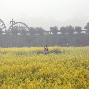 遭遇“承恩故里”争议后，安徽枞阳调解文化旅游节主题 ...