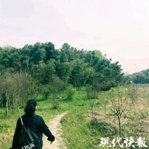 春天的南京，有群“野采人”！