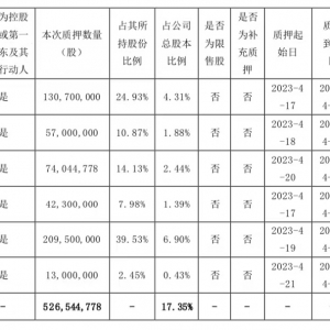 苏宁举世：大股东排除约6.29亿股股权质押后，继承质押5.27亿股融资 ...