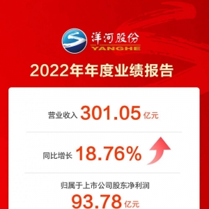 锻造三大引擎，洋河股份2022年营收突破300亿元！