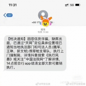 南京江宁公安谈“枪决”短信：大概是骗子在筛选潜伏受害者 ...