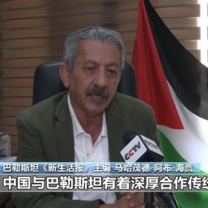 巴勒斯坦媒体人士：中巴关系为巴勒斯坦人民带来盼望和动力 ...